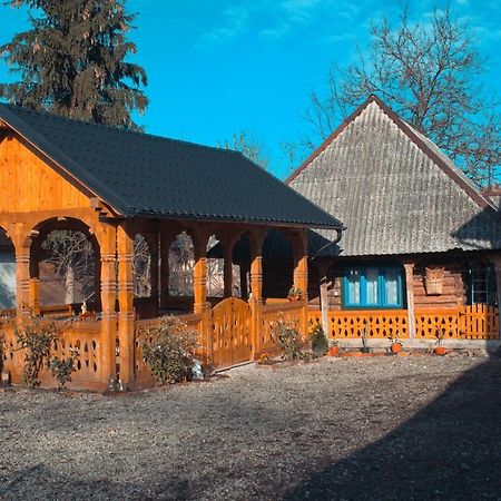 La Rodica In Vale Guest House Ocna Sugatag Luaran gambar