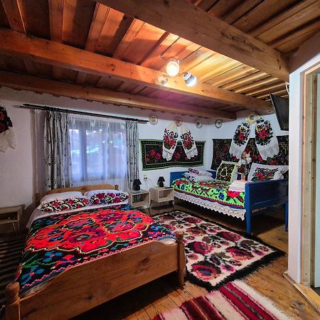La Rodica In Vale Guest House Ocna Sugatag Luaran gambar