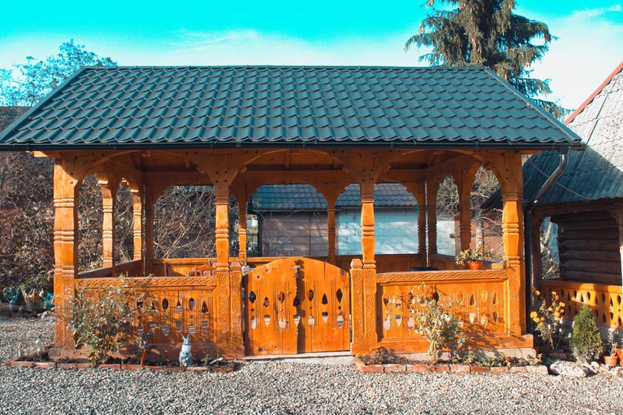 La Rodica In Vale Guest House Ocna Sugatag Luaran gambar
