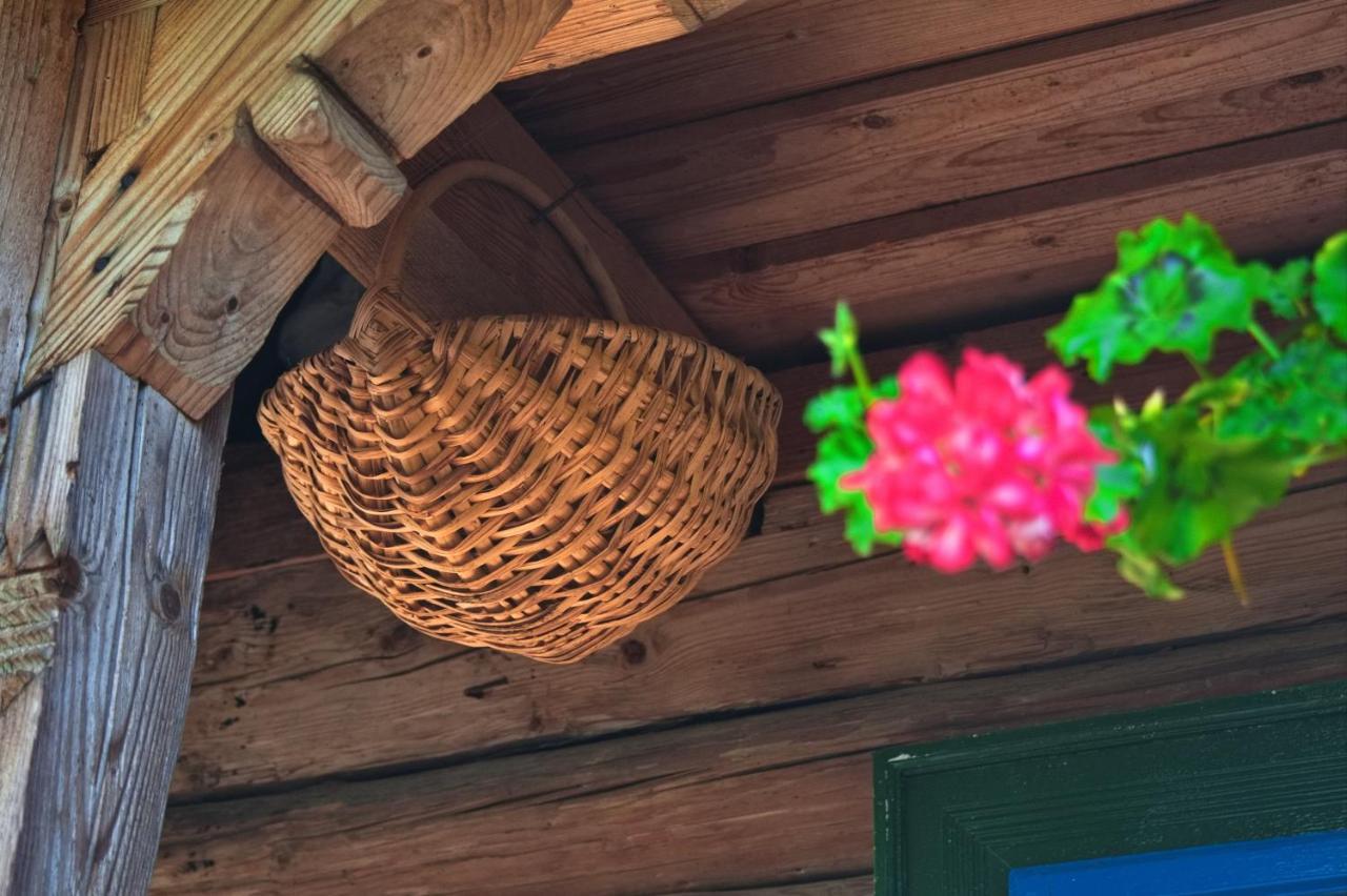 La Rodica In Vale Guest House Ocna Sugatag Luaran gambar