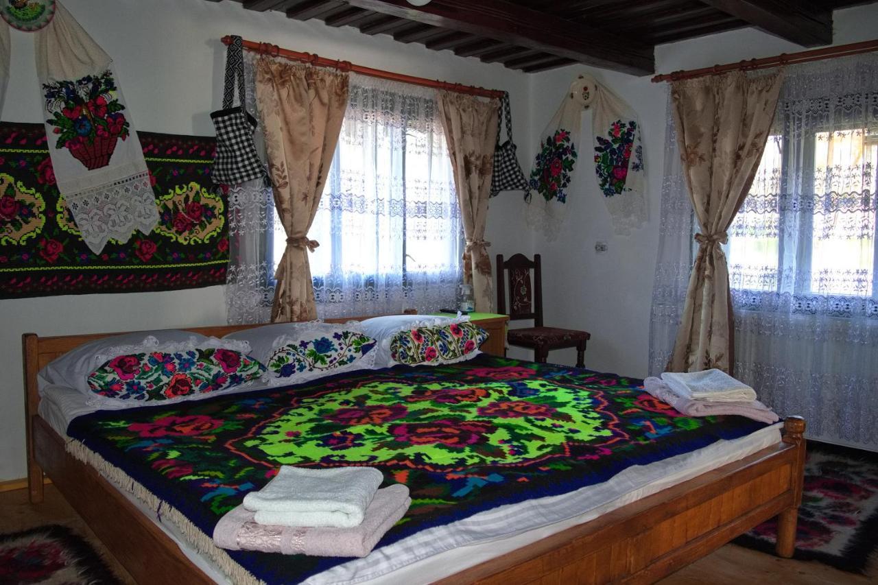 La Rodica In Vale Guest House Ocna Sugatag Luaran gambar