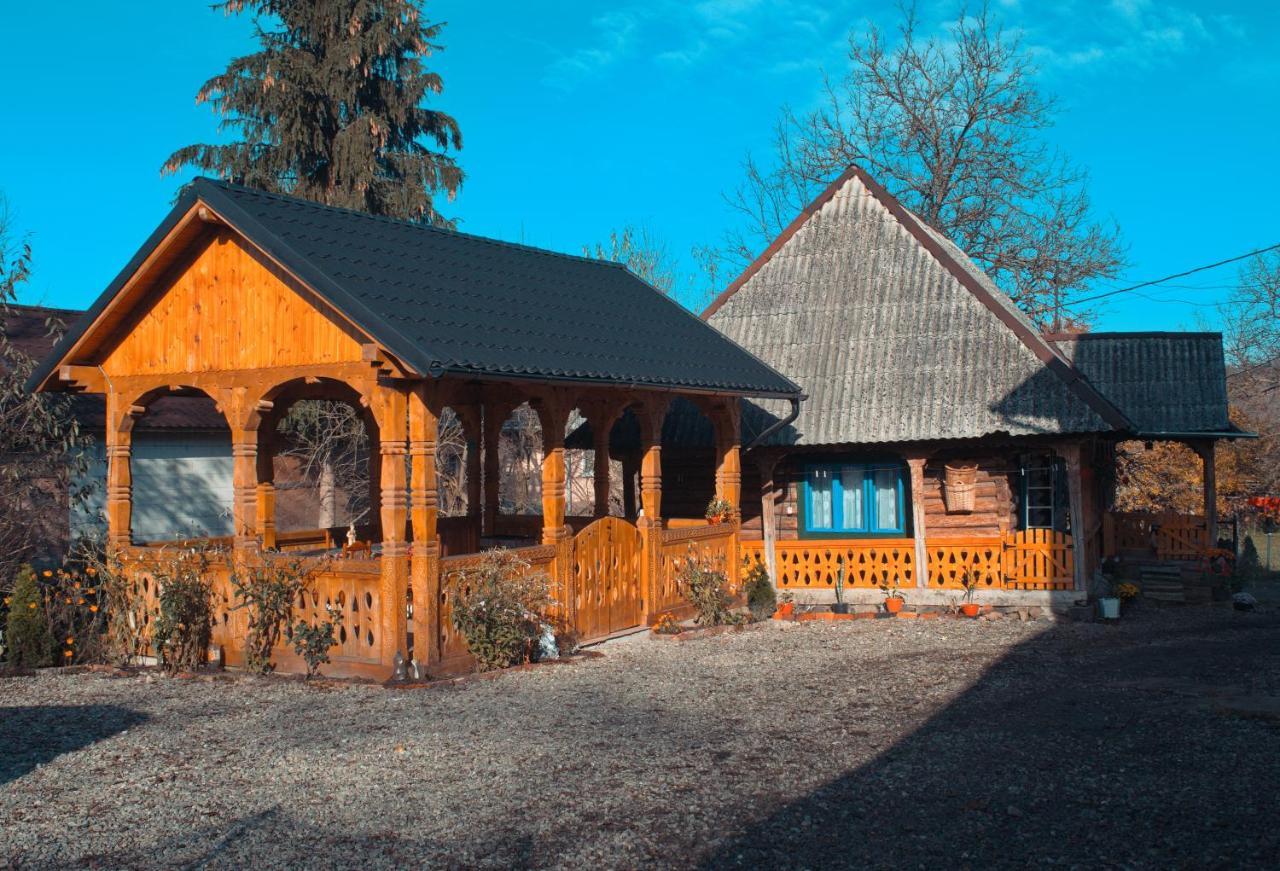 La Rodica In Vale Guest House Ocna Sugatag Luaran gambar