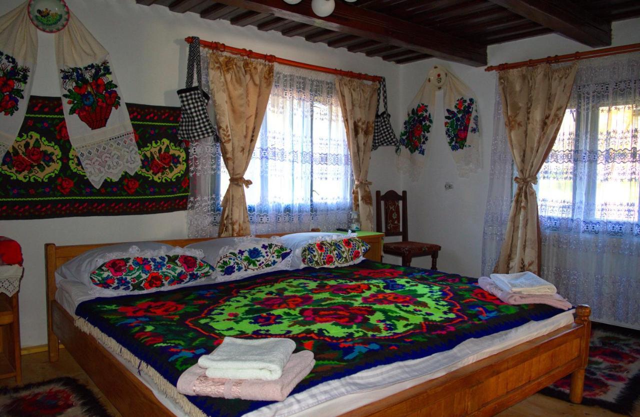 La Rodica In Vale Guest House Ocna Sugatag Luaran gambar