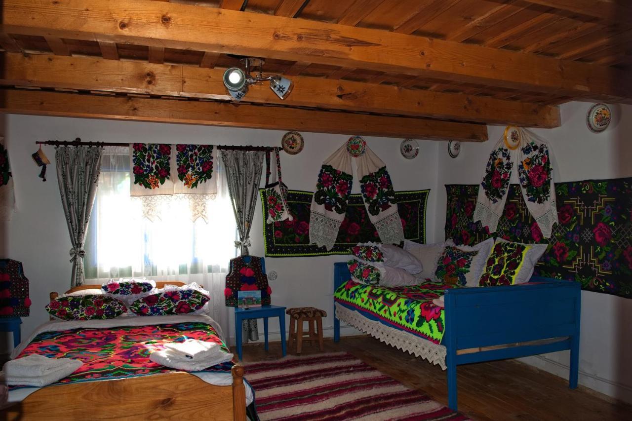 La Rodica In Vale Guest House Ocna Sugatag Luaran gambar