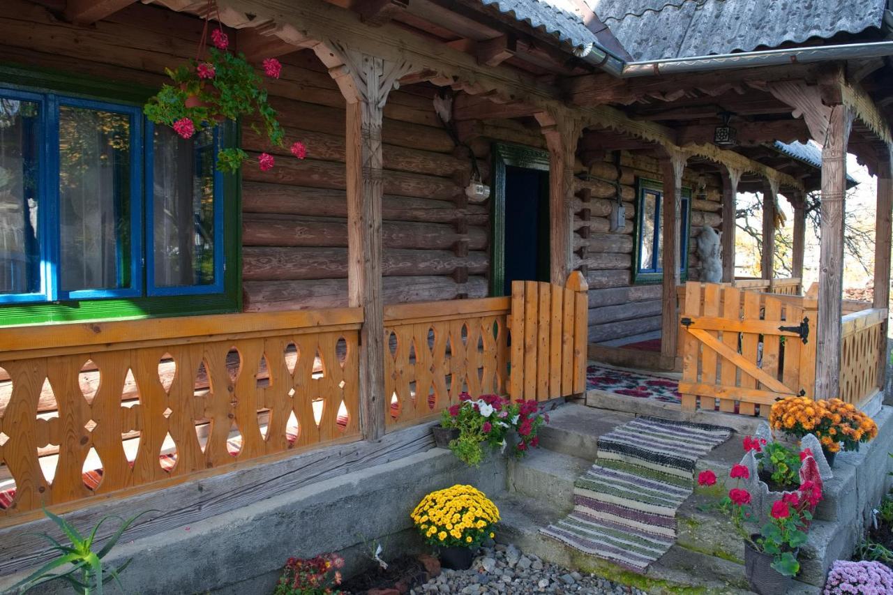 La Rodica In Vale Guest House Ocna Sugatag Luaran gambar