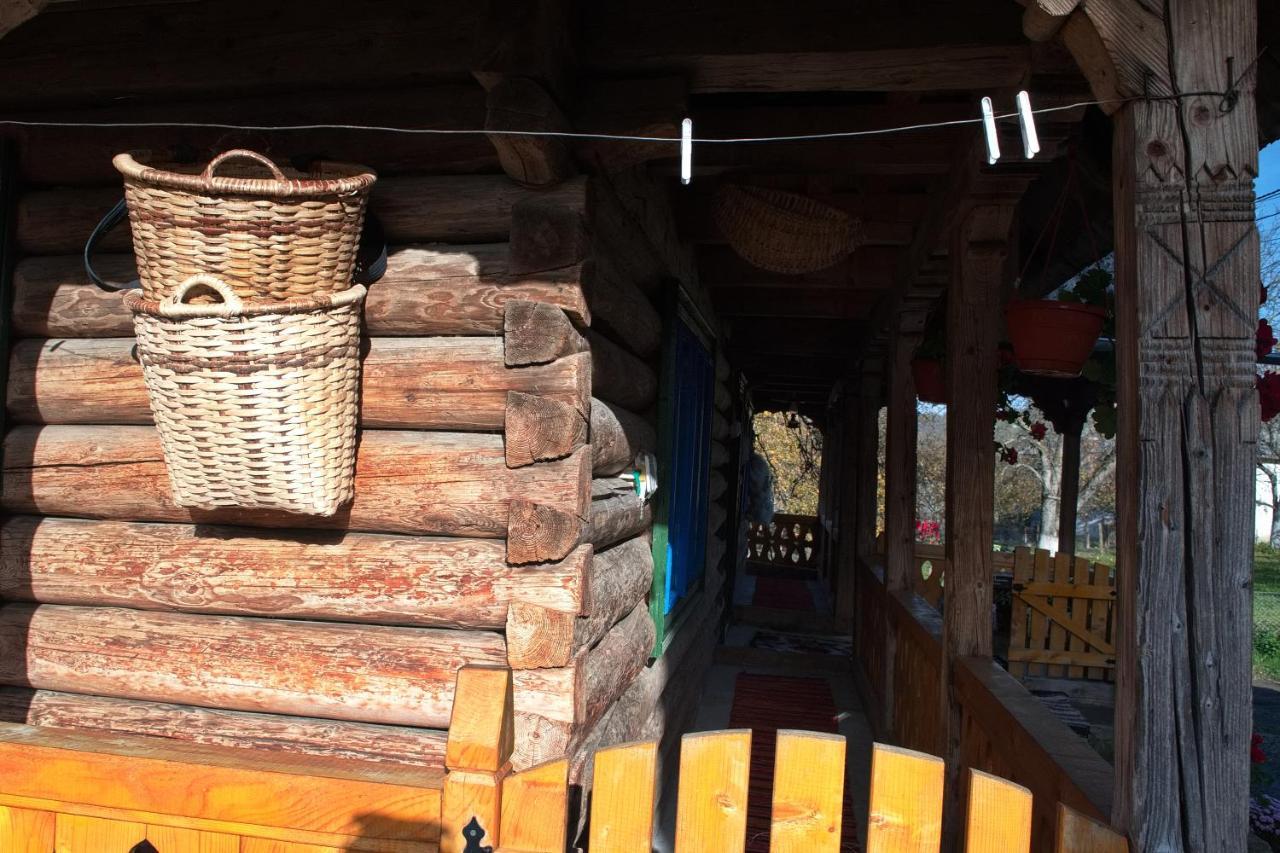 La Rodica In Vale Guest House Ocna Sugatag Luaran gambar