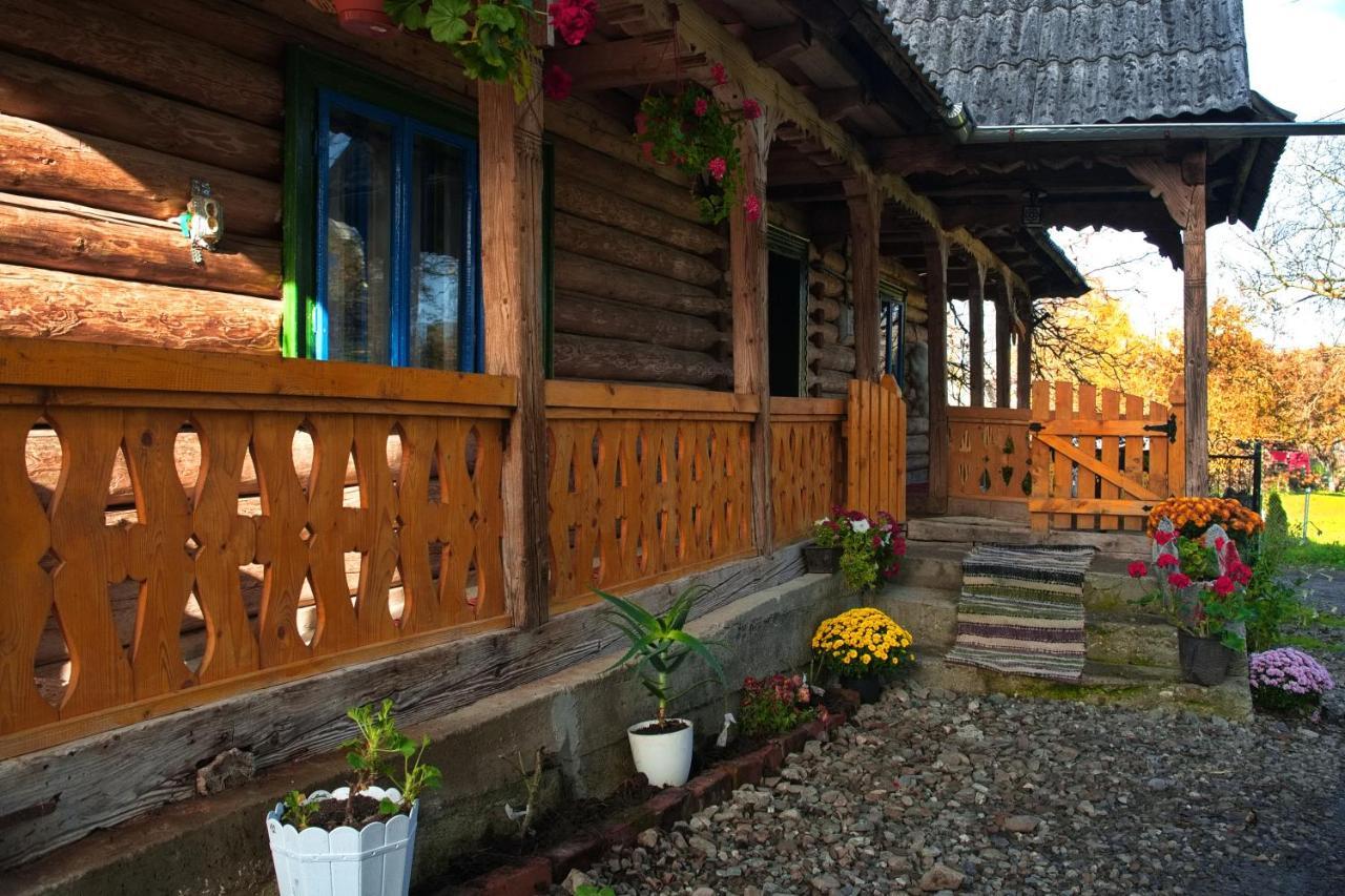 La Rodica In Vale Guest House Ocna Sugatag Luaran gambar